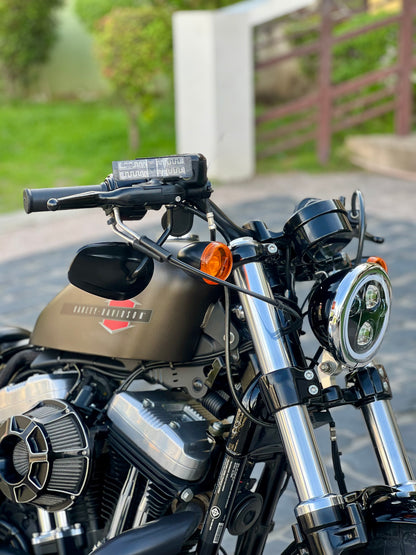 2020 Harley Davidson Forty Eight