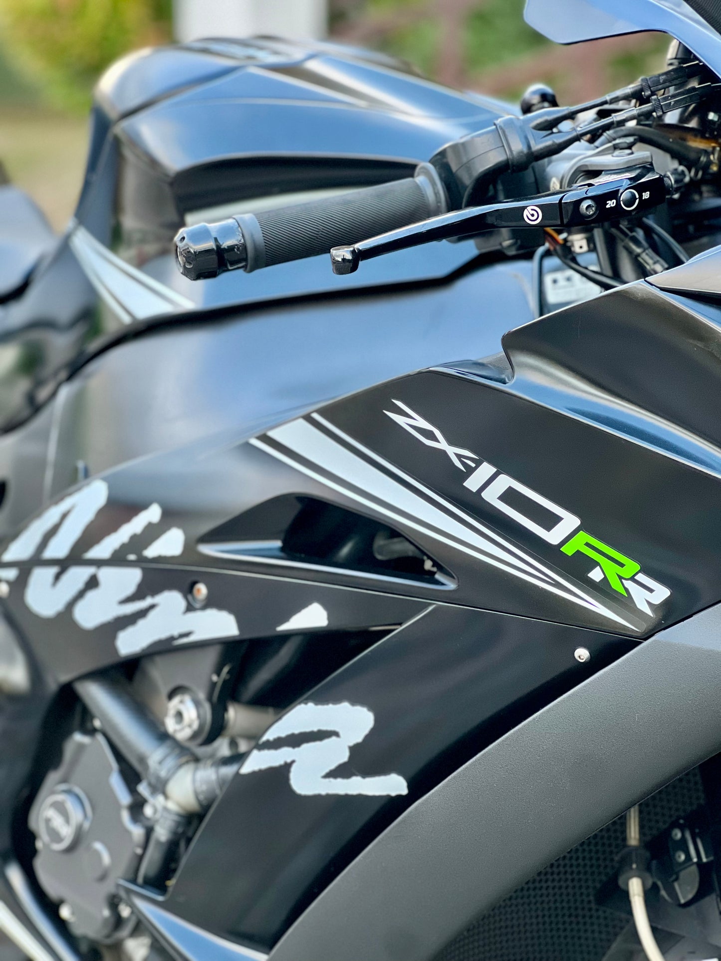 2019 Kawasaki ZX10RR Winter Edition
