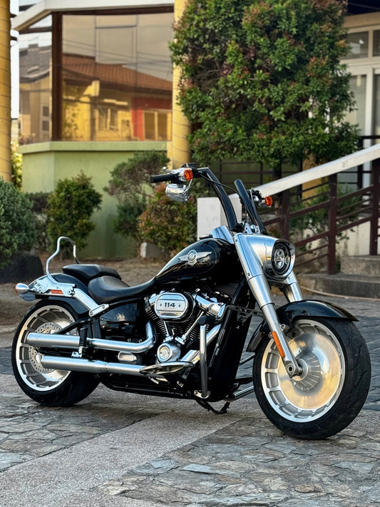 2019 Harley Davidson Fatboy 114