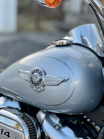 2020 Harley Davidson Fat Boy 114