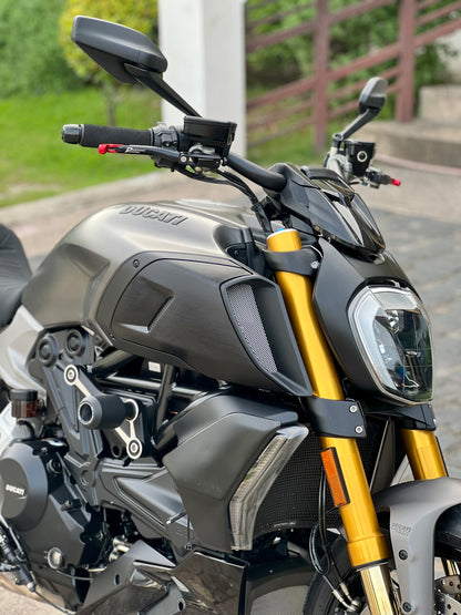 2021 Ducati Diavel 1260S Gray