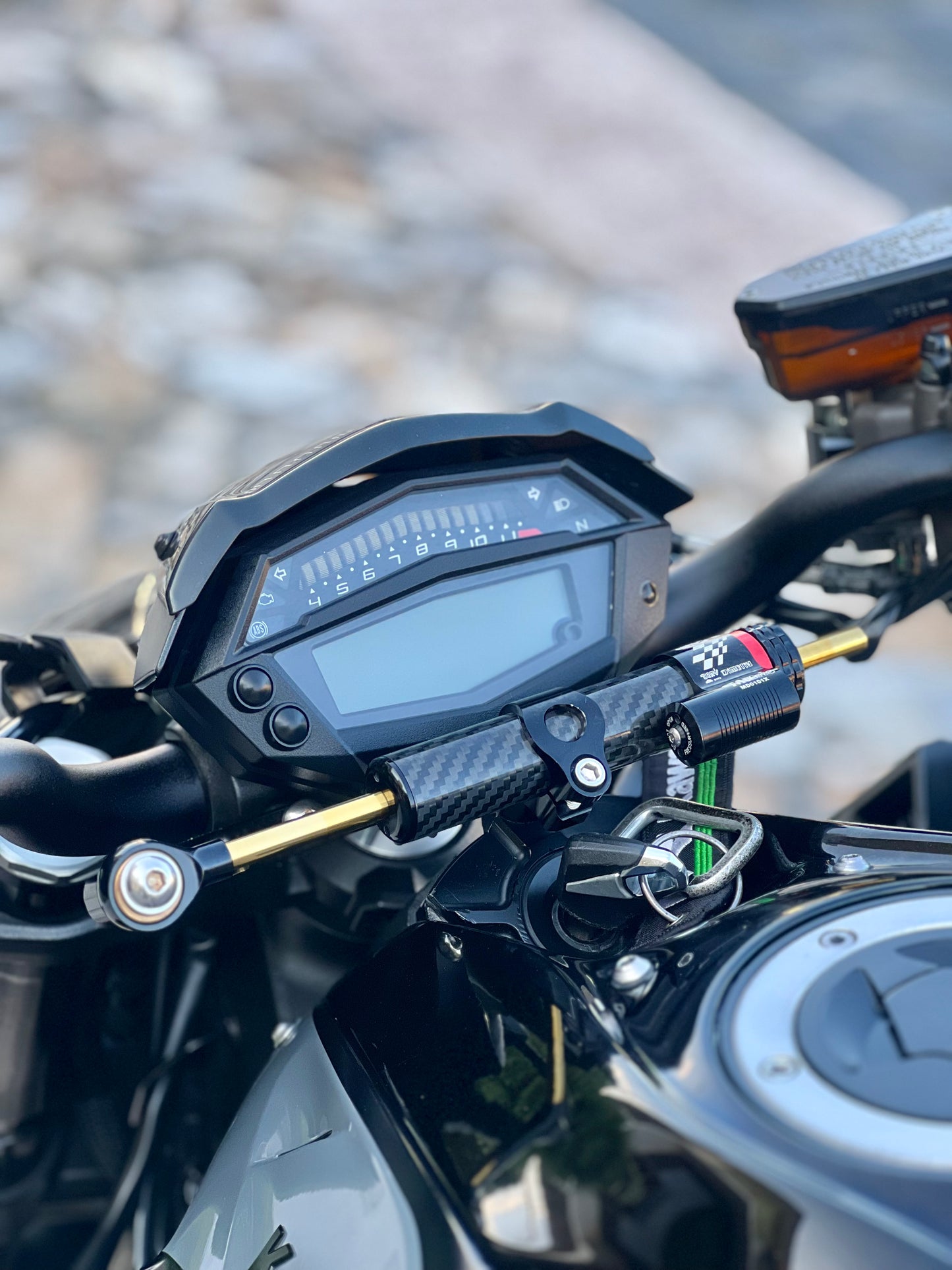 2020 Kawasaki Z1000 R Edition