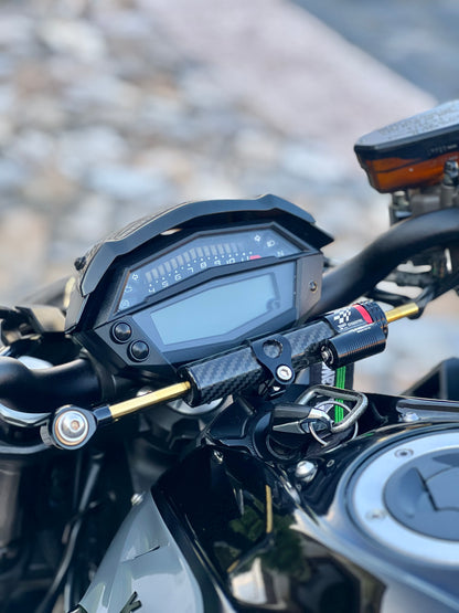 2020 Kawasaki Z1000 R Edition
