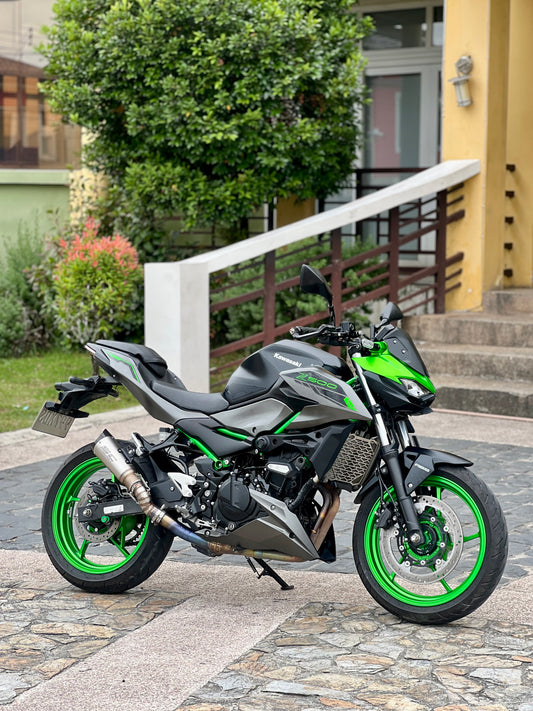 2024 Kawasaki Z500 SE