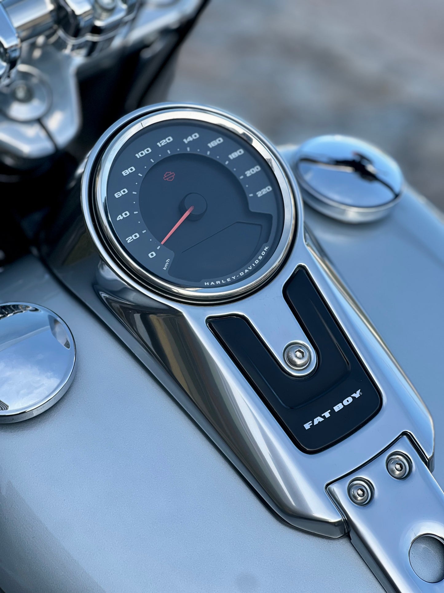 2020 Harley Davidson Fat Boy 114